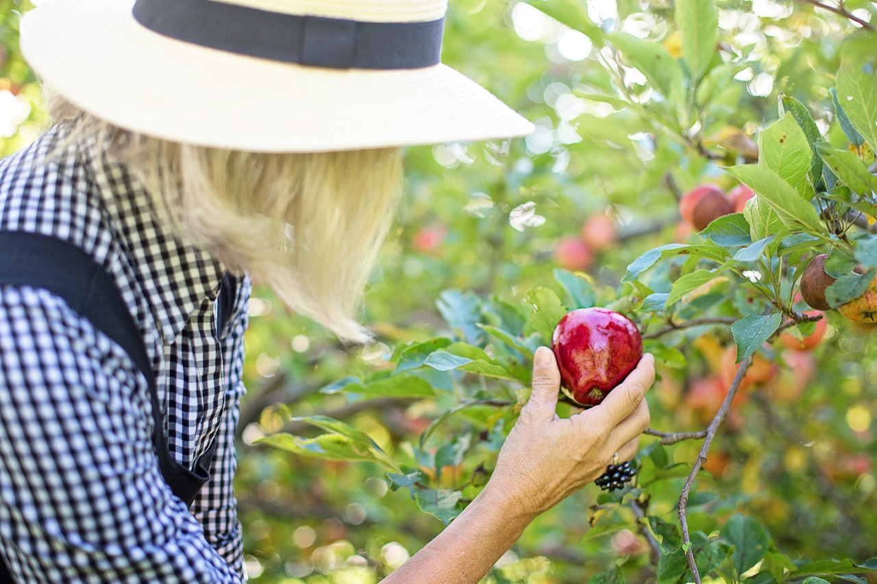 Fall Activities That Support Your Fitness Routine